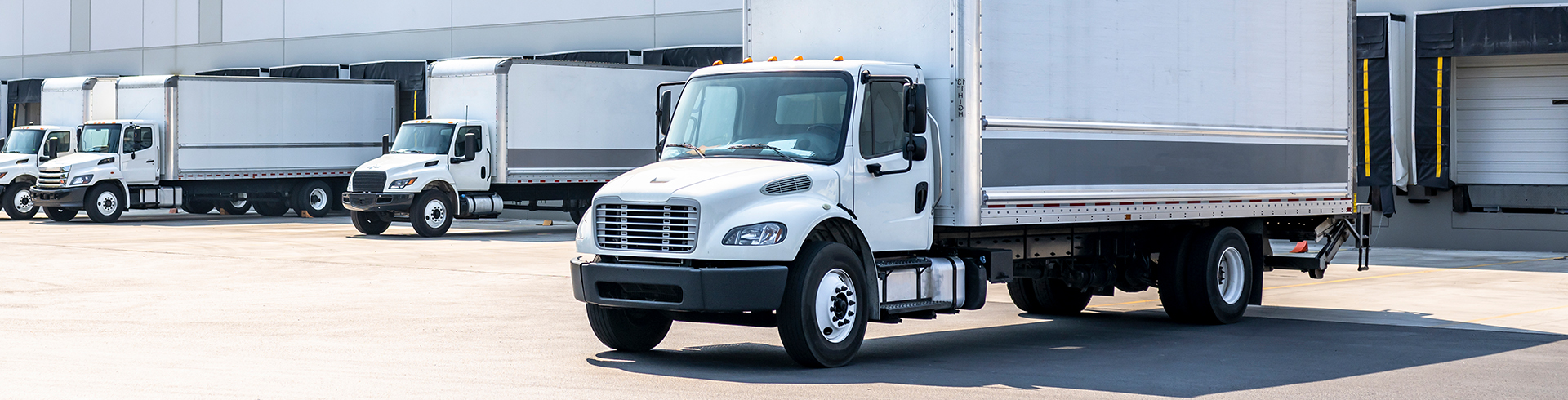 식자재 유통 · 물류